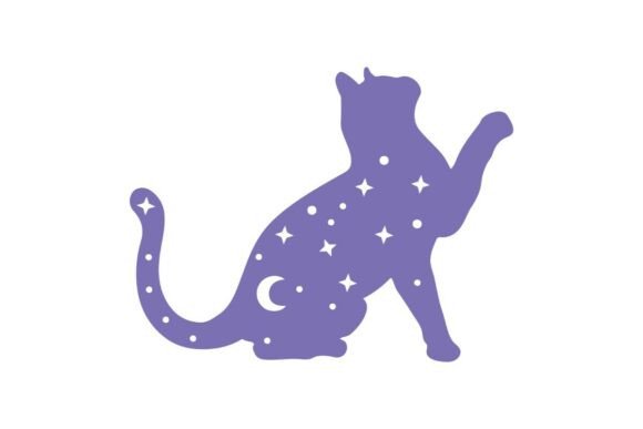 Cosmic Witch’s Cat
