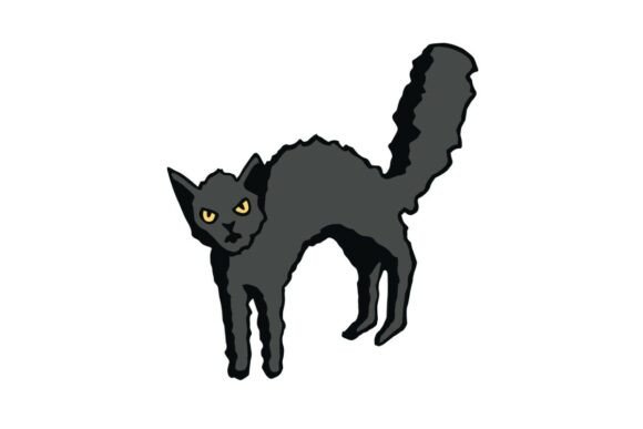 Hissing Black Cat: A Designer’s Real-World Embroidery Review